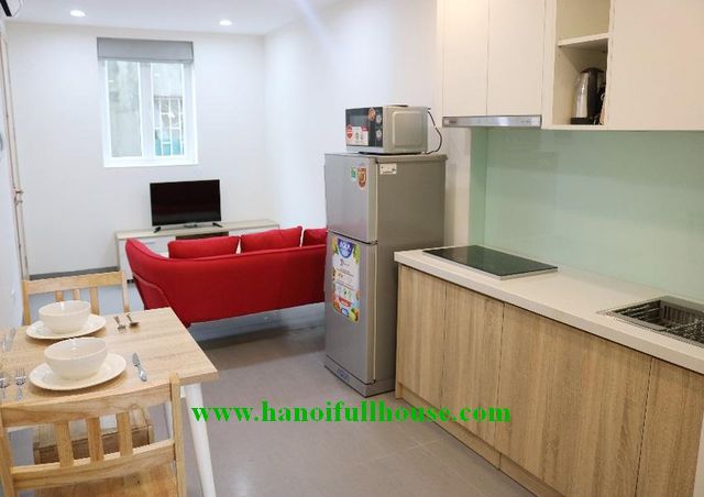 Serviced one bedroom apartment on Hoang Hoa Tham for rent