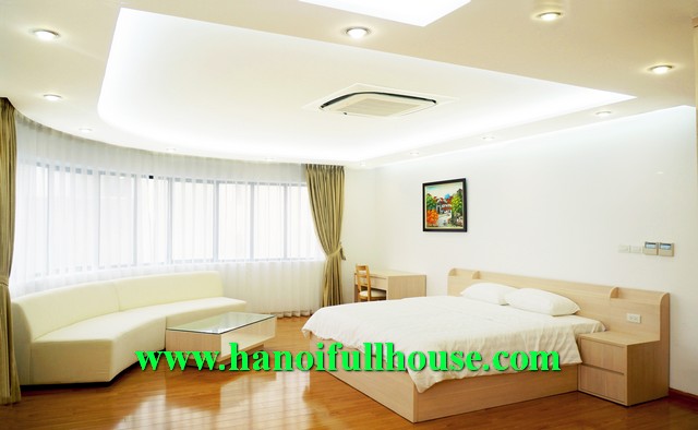 Modern spacious apartment for rent in Hai Ba Trung, Ha Noi