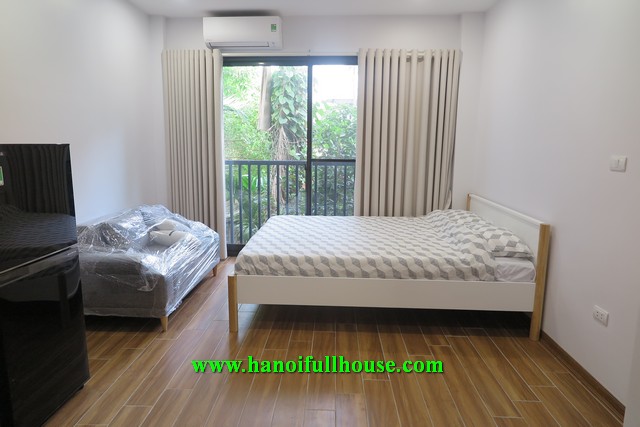 Nice studio apartment on Dang Thai Mai street for rent.