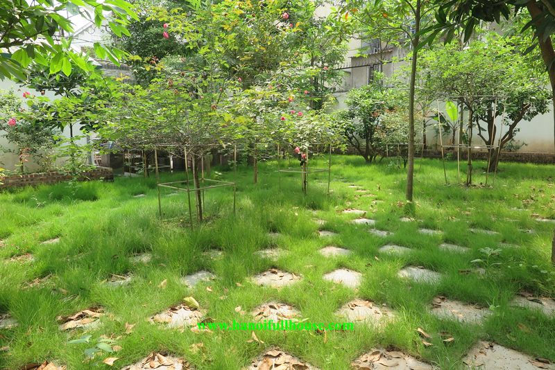 Căn nhà thiết kế hiện đại với sân vườn lớn lên đến 400 m2 ở Tây Hồ cho thuê  