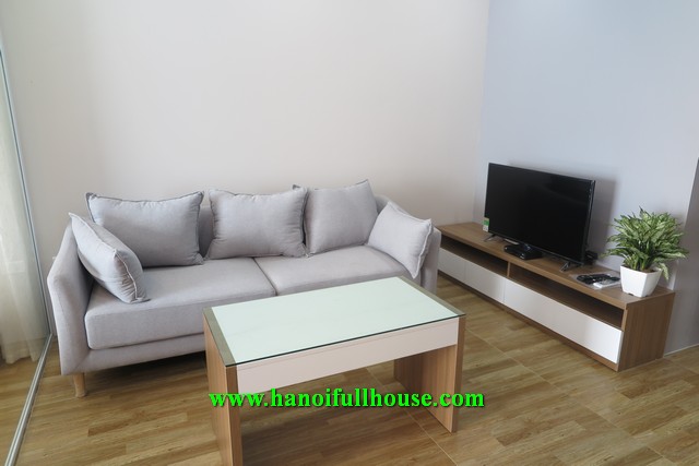 Lovely studio apartment for  rent on Xuan Dieu street.