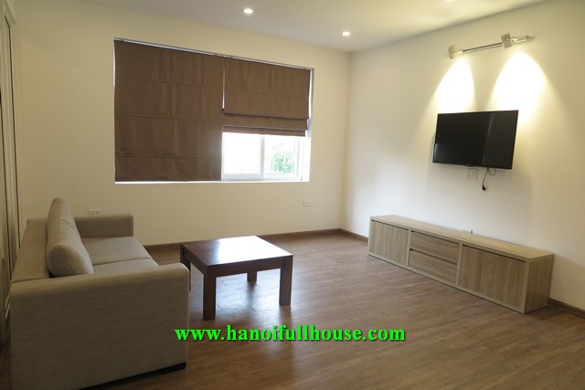 Cozy one bedroom apartment on Dang Thai Mai for rent.