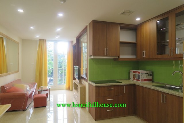 New serviced apartment in Giang Vo, Dong Da dist for rent