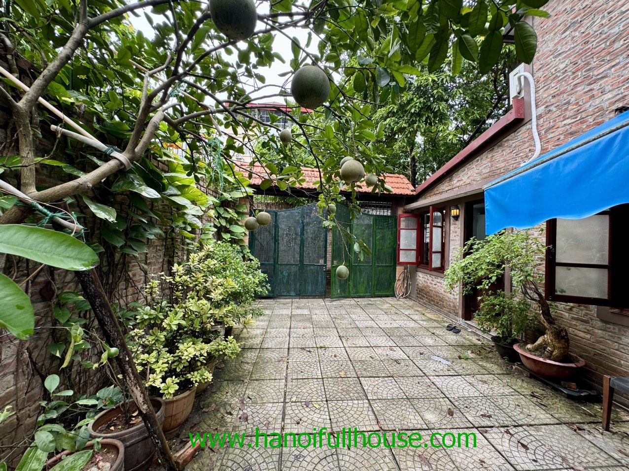 House with 2 bedrooms, garden in Long Bien dist for rent