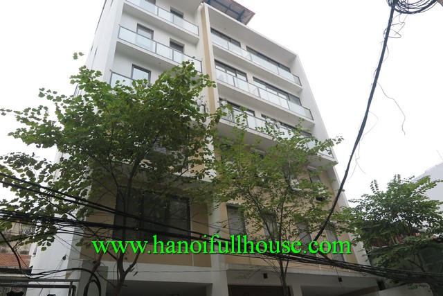 Well-designed brand new one bedroom apartment in Hoan Kiem Centre, Hanoi for rent