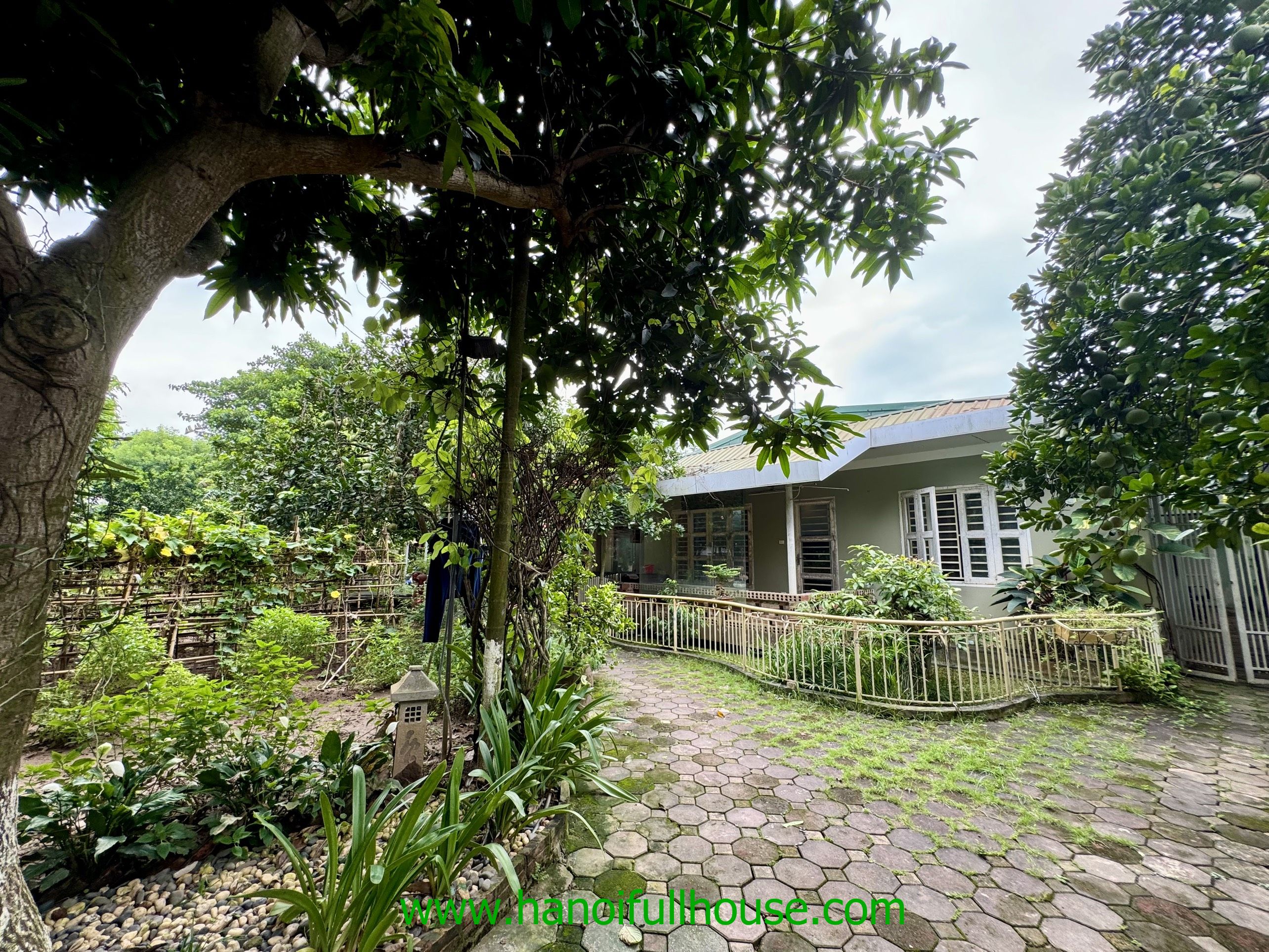 Nice house with big yard garden for rent in Tay Ho dist