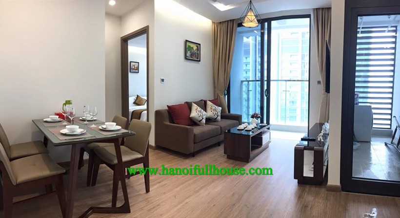 Unique modern one bedroom apartment in Metropolis Lieu Giai for rent