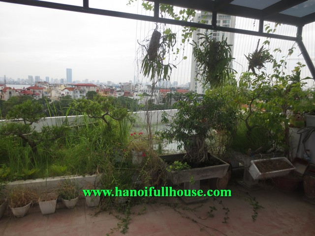 Căn hộ pen-house có sân vườn, nhiều ánh sáng, thiết kế hiện đại cho thuê giá rẻ