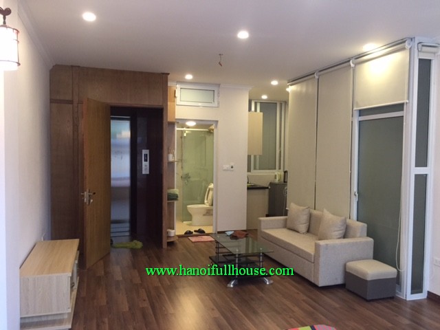 Rental 01 bedroom nice apartment nearby Thien Quang Lake and Thong Nhat Park area